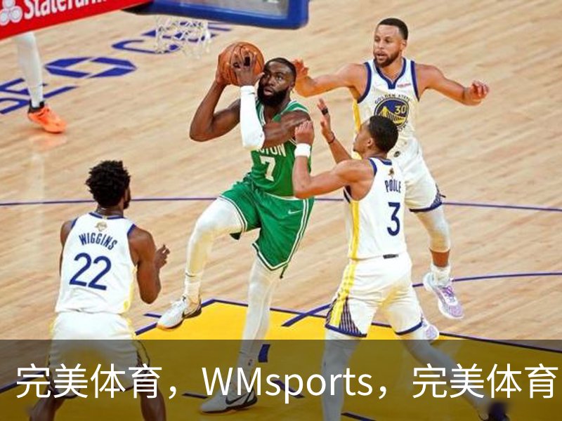 完美体育，WMsports，完美体育官方，完美体育平台，完美体育下载概况